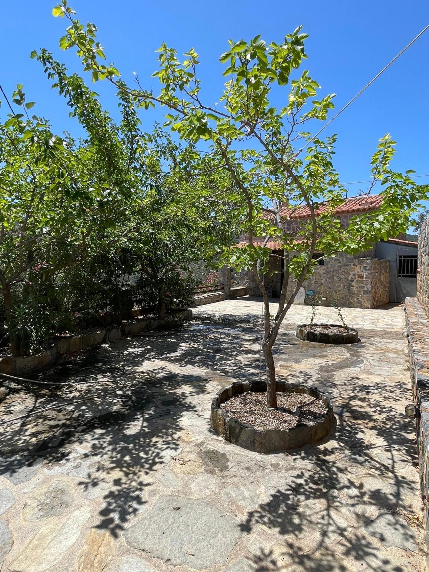 מונמבאסיה Guesthousekamara מראה חיצוני תמונה